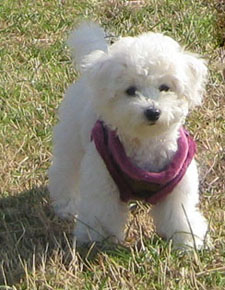 Flayme Aged 4 Months