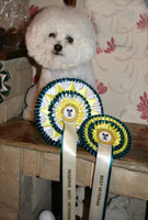 Raiyn winning Reserve Best Veteran in Show