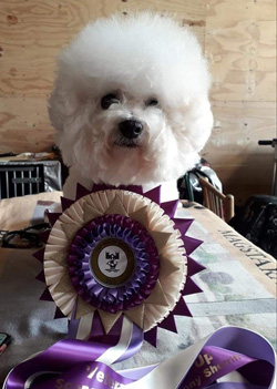Top Reserve Veteran Winner