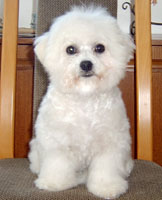 Angell At 7 Weeks