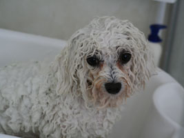 In The Bath