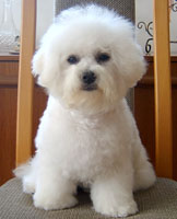 Breeze At 7 Weeks