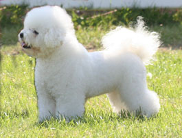 Breeze At 15 Months