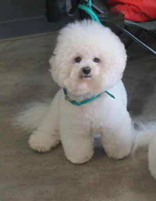 Frosty At 6 Years