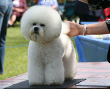 Frosty At 15 Months