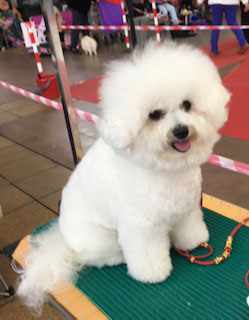 Heidi aged 5 months