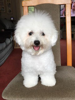 Heidi aged 5 months
