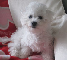 Ice Aged 5 Months