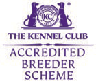 The Kennel Club Accredited Breeder Scheme