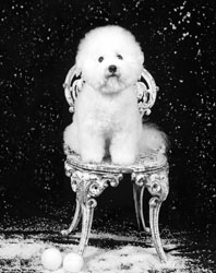 Magic at her Photo Shoot
  Age 12 years