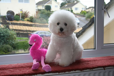 Sitting in the Window Age 13