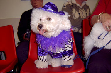 All dressed up at her Christmas Party Age 7