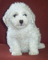 Magic At 6 Weeks