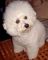 Magic At 7 Years