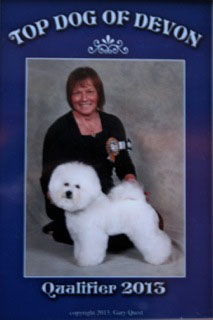 FLAYME Puppy Finalist
