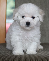 Raiyn At 8 Weeks