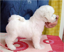 Secret at 9 weeks