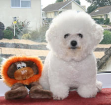 Snow At 7 Years