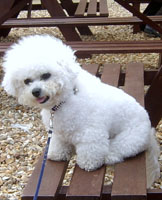 Snow At 14 Months