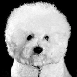 Starr at Photo Shoot