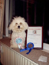 Starrs First Certificate