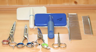Bichon Grooming Tools