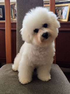 Tyanna Aged 13 Weeks